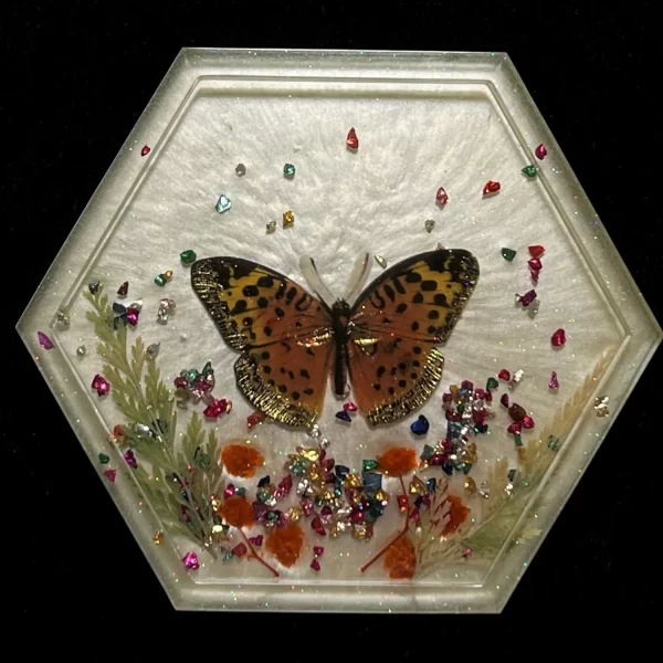 Druid's Moth 4 - DnD Dice Coaster / Roller Tray